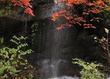 湯河原万葉公園 湯河原万葉公園